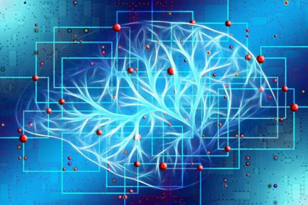 Beyond Self-Driving: Rethinking Trust In Autonomous Ecosystems