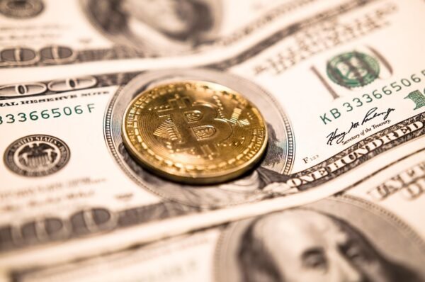 Altcoin Evolution: Beyond Bitcoin, Towards Niche Dominance
