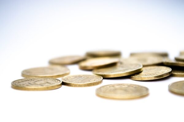 Beyond Browse: Product Categories As Competitive Advantage