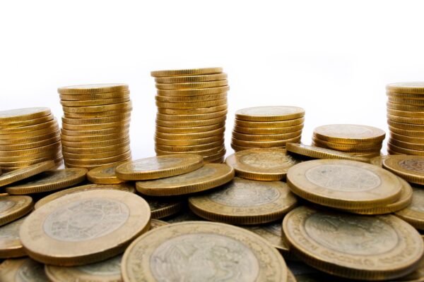 Private Equitys Climate Blindspot: Stranded Assets Loom?