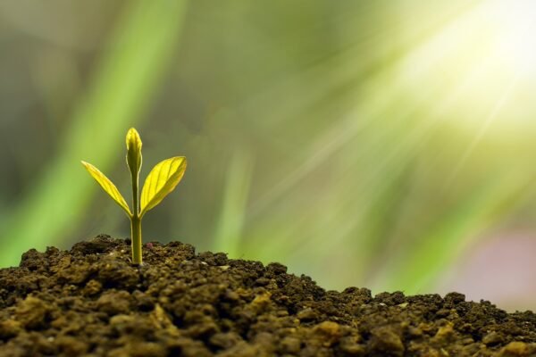 Beyond Yield: The Unseen ESG Risks In Bond Portfolios