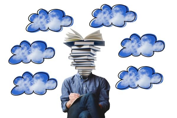Beyond Infrastructure: Clouds Untapped Data Intelligence Potential