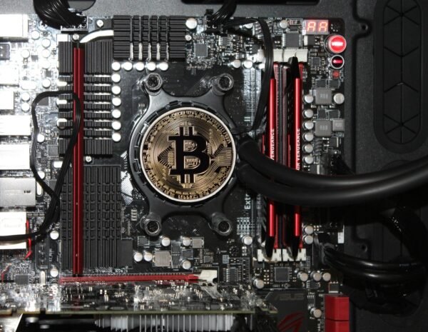 Altcoins: Beyond Bitcoin, Innovation Or Investment Risk?