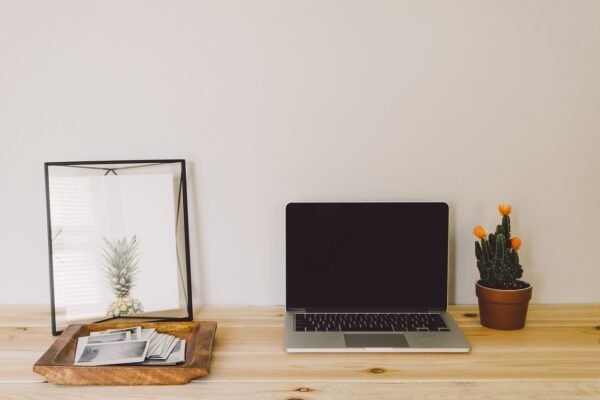 Networking: Building Bridges Beyond The Business Card