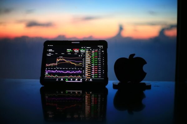 Bitcoins Regulatory Crossroads: Innovation Versus Control