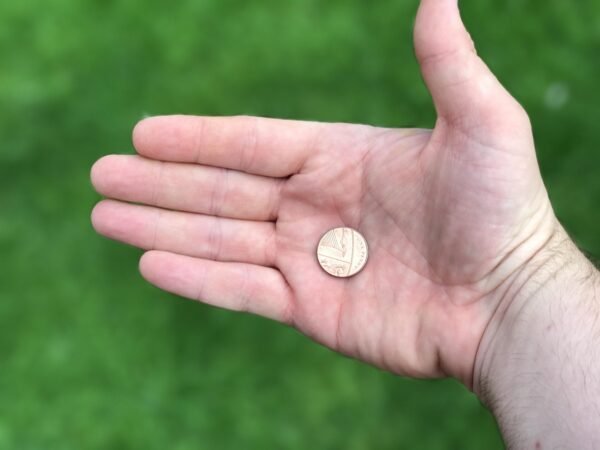 Unlocking Your Future: Financial Literacy For Life