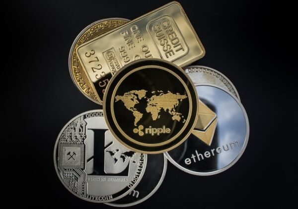 Hodling Horizons: Weathering Crypto Storms, Reaping Future Rewards