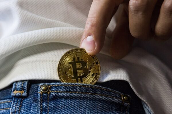 Altcoins: Beyond Bitcoins Shadow, Innovation Or Echo?