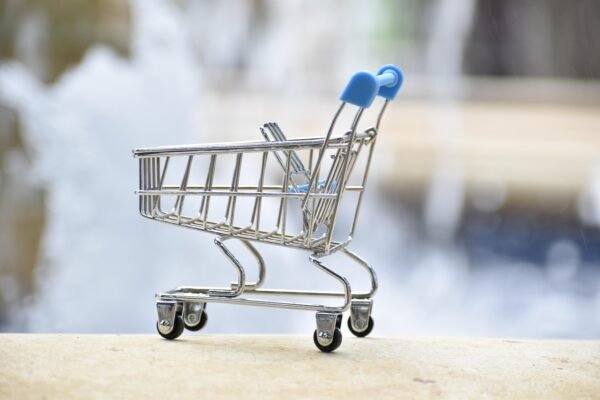 Ecommerces Next Horizon: Sustainability, Personalization, And AI