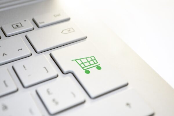 Fort Knox Checkout: Securing Every Digital Dollar