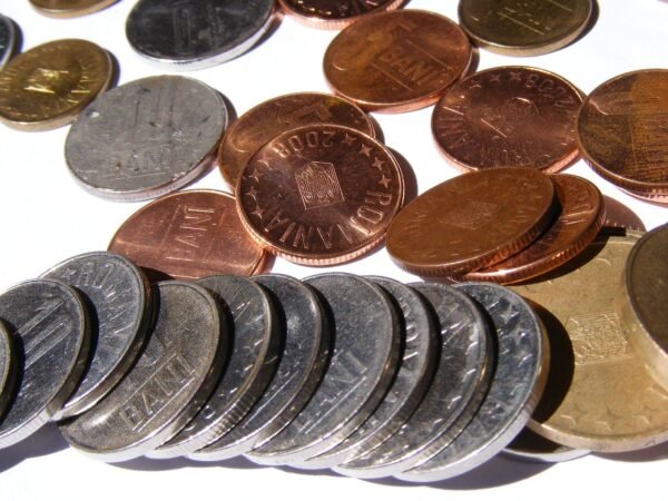 Unlocking Growth: Strategic Product Bundling For Niche Markets
