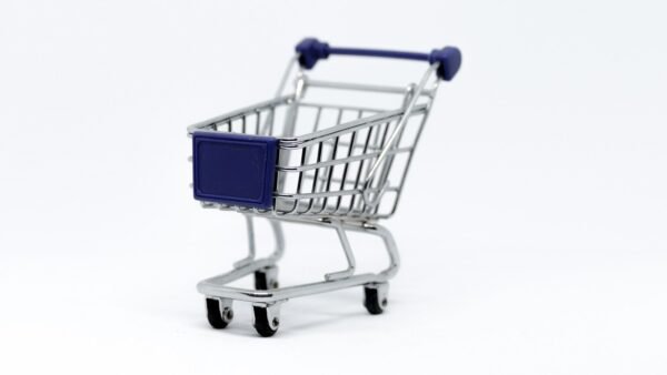 Dropshippings New Frontier: AI-Powered Profit Or Bust?