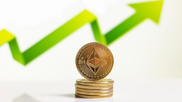 VCs Next Act: Beyond Unicorns, Investing In Resilience